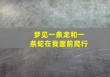 梦见一条龙和一条蛇在我面前爬行