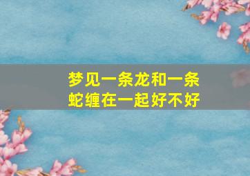 梦见一条龙和一条蛇缠在一起好不好