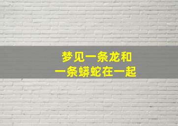 梦见一条龙和一条蟒蛇在一起