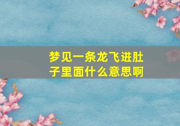 梦见一条龙飞进肚子里面什么意思啊