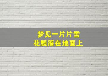 梦见一片片雪花飘落在地面上