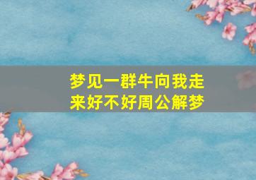 梦见一群牛向我走来好不好周公解梦