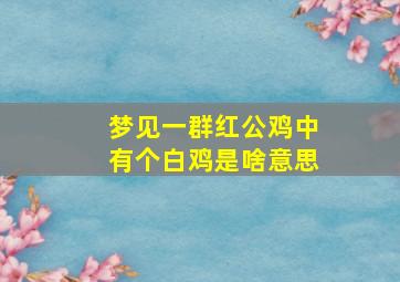 梦见一群红公鸡中有个白鸡是啥意思