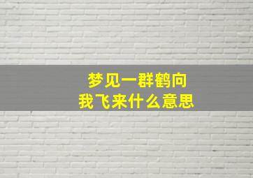 梦见一群鹤向我飞来什么意思