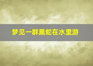 梦见一群黑蛇在水里游