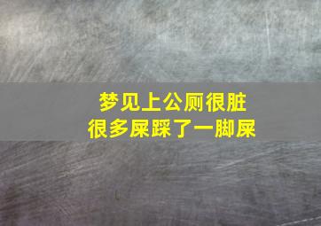 梦见上公厕很脏很多屎踩了一脚屎