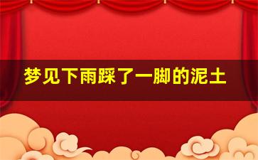 梦见下雨踩了一脚的泥土