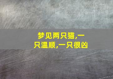 梦见两只猫,一只温顺,一只很凶