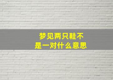 梦见两只鞋不是一对什么意思