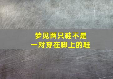 梦见两只鞋不是一对穿在脚上的鞋