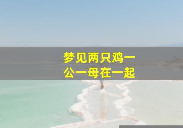 梦见两只鸡一公一母在一起