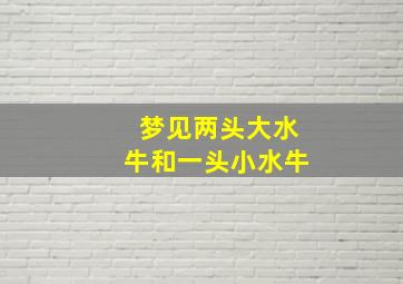 梦见两头大水牛和一头小水牛