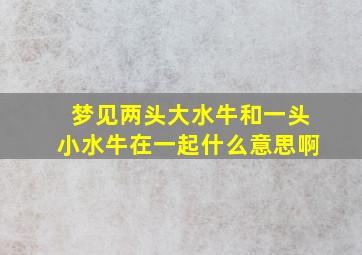 梦见两头大水牛和一头小水牛在一起什么意思啊