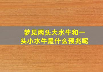 梦见两头大水牛和一头小水牛是什么预兆呢