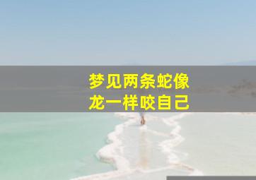 梦见两条蛇像龙一样咬自己