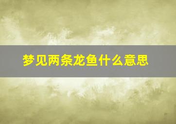 梦见两条龙鱼什么意思