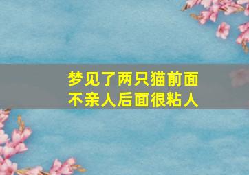 梦见了两只猫前面不亲人后面很粘人