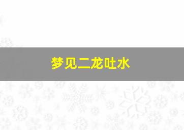 梦见二龙吐水