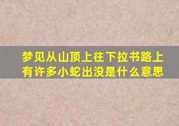 梦见从山顶上往下拉书路上有许多小蛇出没是什么意思