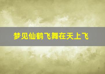 梦见仙鹤飞舞在天上飞