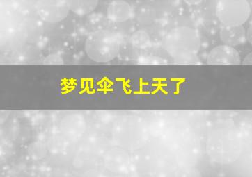 梦见伞飞上天了