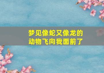 梦见像蛇又像龙的动物飞向我面前了