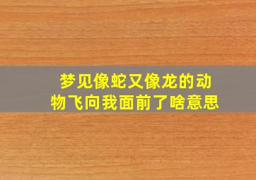 梦见像蛇又像龙的动物飞向我面前了啥意思