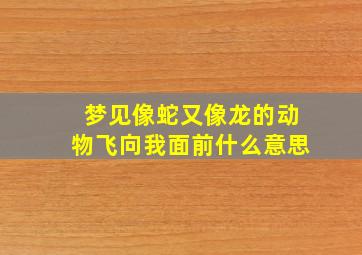 梦见像蛇又像龙的动物飞向我面前什么意思