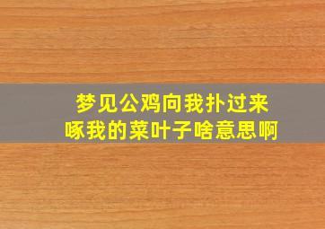 梦见公鸡向我扑过来啄我的菜叶子啥意思啊