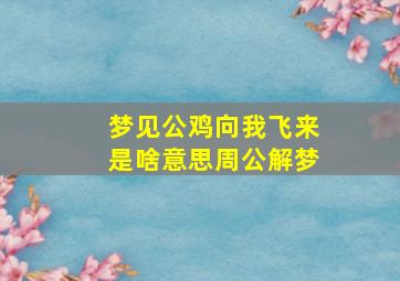 梦见公鸡向我飞来是啥意思周公解梦