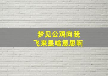 梦见公鸡向我飞来是啥意思啊