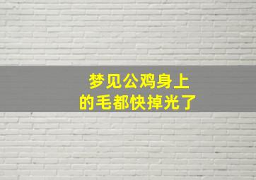 梦见公鸡身上的毛都快掉光了