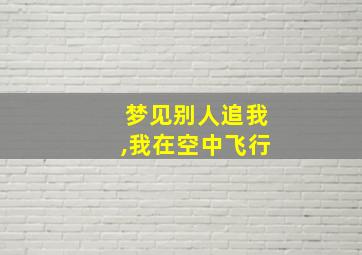 梦见别人追我,我在空中飞行