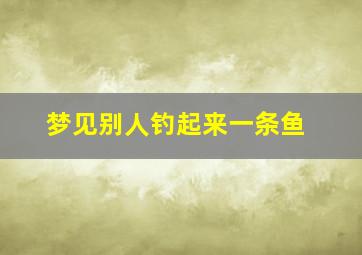 梦见别人钓起来一条鱼