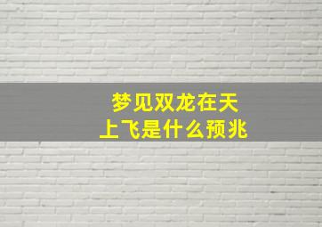 梦见双龙在天上飞是什么预兆