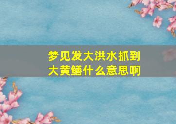 梦见发大洪水抓到大黄鳝什么意思啊