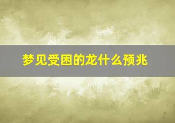 梦见受困的龙什么预兆