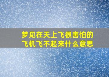 梦见在天上飞很害怕的飞机飞不起来什么意思