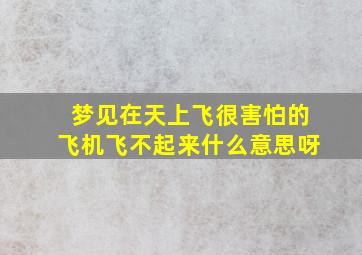 梦见在天上飞很害怕的飞机飞不起来什么意思呀