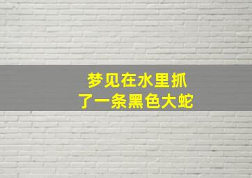 梦见在水里抓了一条黑色大蛇