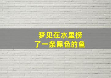 梦见在水里捞了一条黑色的鱼