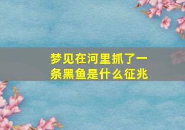 梦见在河里抓了一条黑鱼是什么征兆