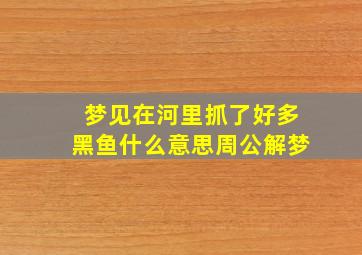 梦见在河里抓了好多黑鱼什么意思周公解梦