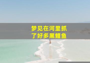 梦见在河里抓了好多黑鲤鱼