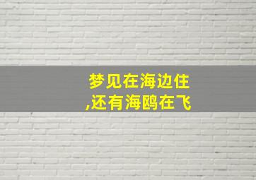 梦见在海边住,还有海鸥在飞