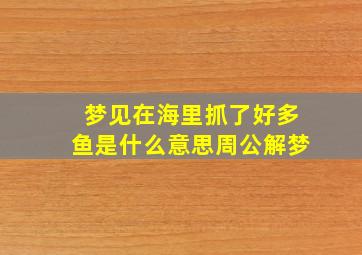 梦见在海里抓了好多鱼是什么意思周公解梦