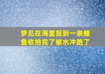 梦见在海里捉到一条鲤鱼收拾完了被水冲跑了