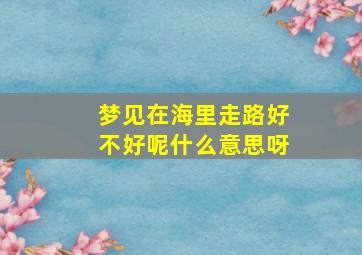 梦见在海里走路好不好呢什么意思呀