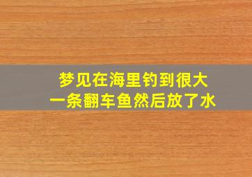 梦见在海里钓到很大一条翻车鱼然后放了水