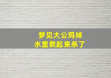 梦见大公鸡掉水里救起来杀了